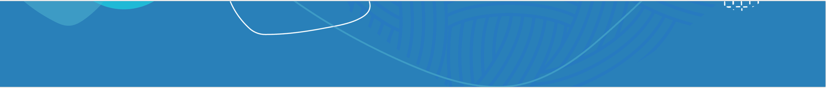footer iage