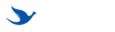 Bluebird Group